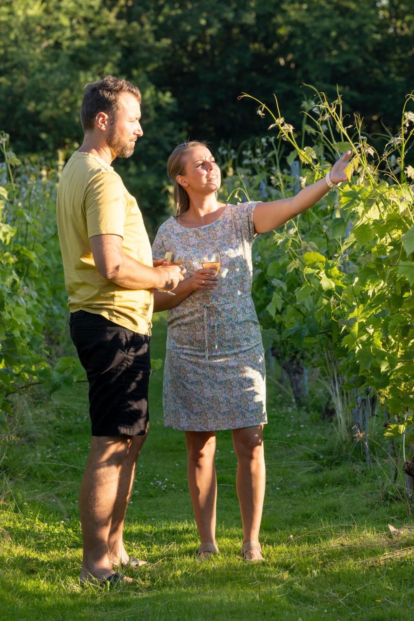 Holmegaard Vin Og Glamping Hotel Dannemare Buitenkant foto